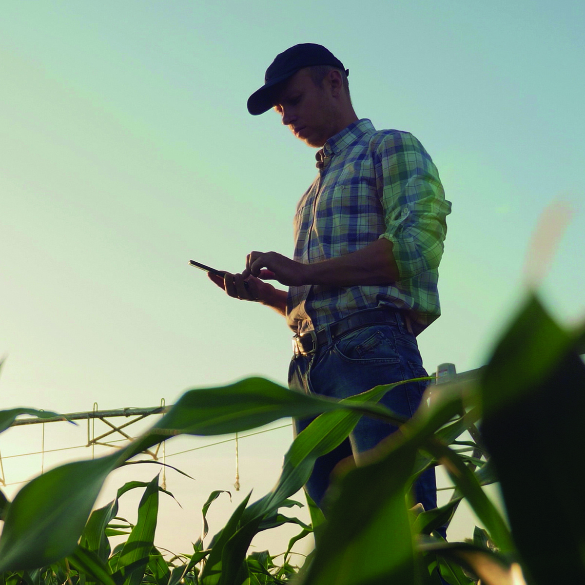 farmerpulse-farmer-in-field-square