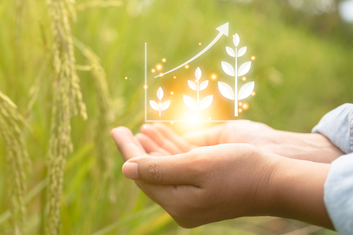 hands holding agricultural data